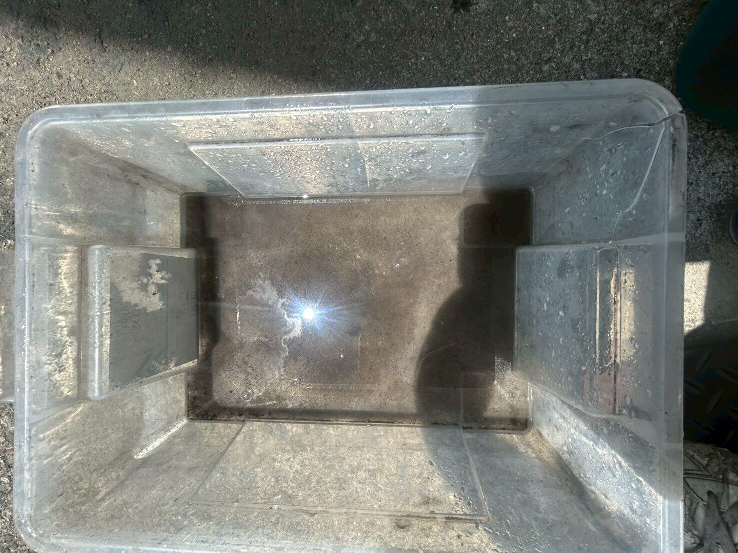 LINE_ALBUM_ロードスタークーラー_250720_1