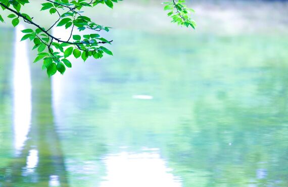 嘔吐で汚れた車内を即日リセット！旅行中のトラブルも安心対応｜南大阪・トータルカーサポート煌