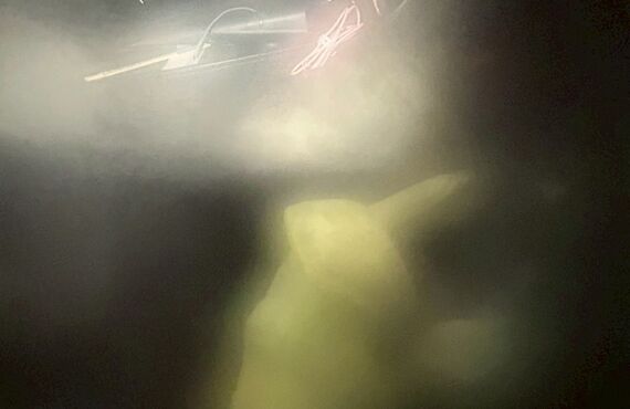 【大阪・奈良対応】トータルカーサポート煌のプロ車内クリーニング！徹底消臭・汚れ除去で新車のような快適空間へ